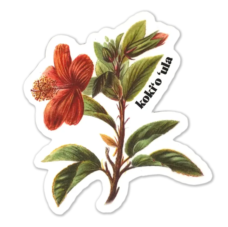 KokiʻO ʻUla Hawaiian Plant Sticker 1