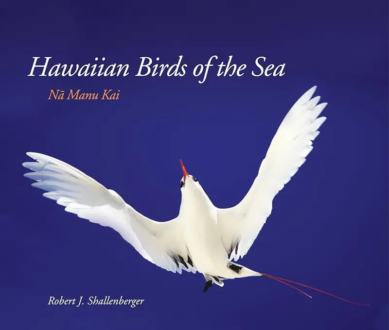 Native Seabirds Of HawaiʻI: A Field Guide To Oceanic Avifauna 1
