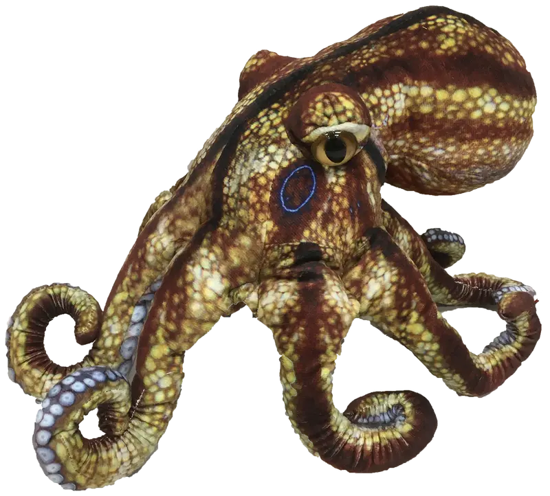 Ocean-Themed Octopus Plush Toy – 10-Inch Soft Stuffed Animal 1