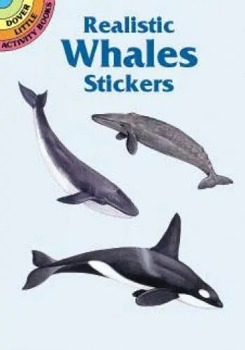 Realistic Whales Sticker Activity Book For Kids By Jan Sovak 1