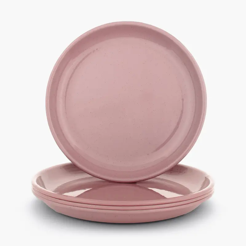 Rolled Enamel Everyday Dinner Plate Set 1
