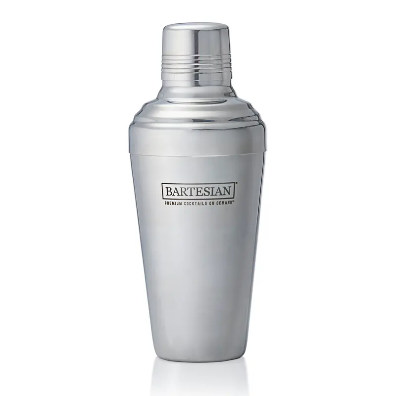 Stainless Steel Cocktail Shaker Set 1