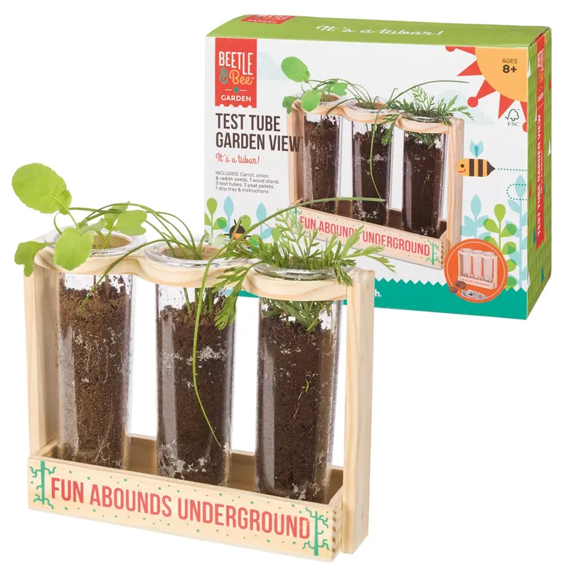 Test Tube Garden View – Science-Inspired Decorative Display 1