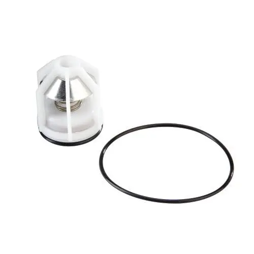 Watts Rk009M2 Ck1 Prv – 1 Inch, Part Number 0887789 1