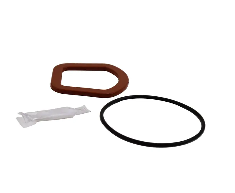 Watts Rk757/757Dcda Rc4 Kit For 2-1/2" To 4" Systems – 0899202 1